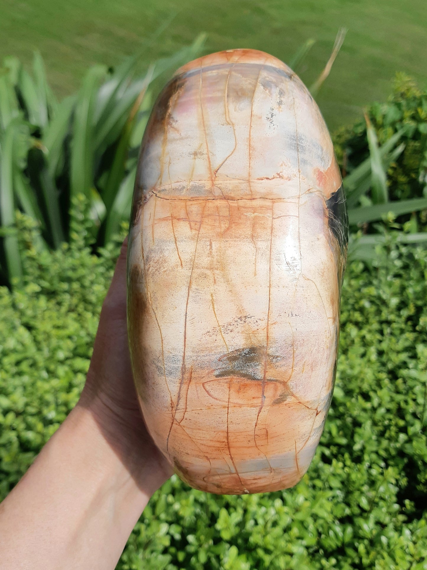 Petrified Wood Freeform