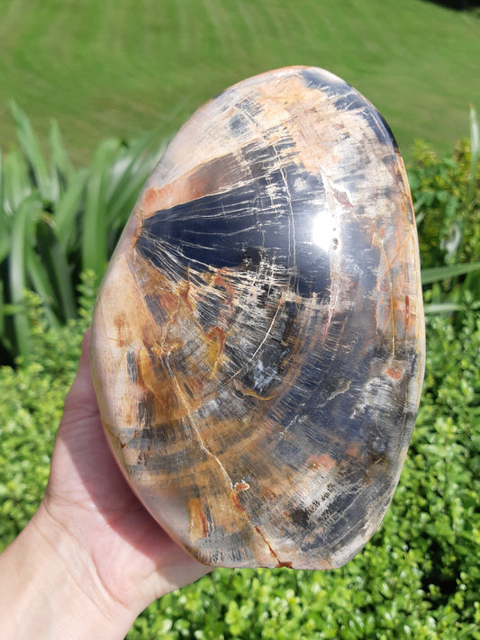 Petrified Wood Freeform