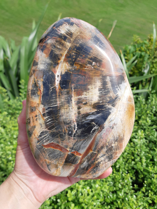 Petrified Wood Freeform