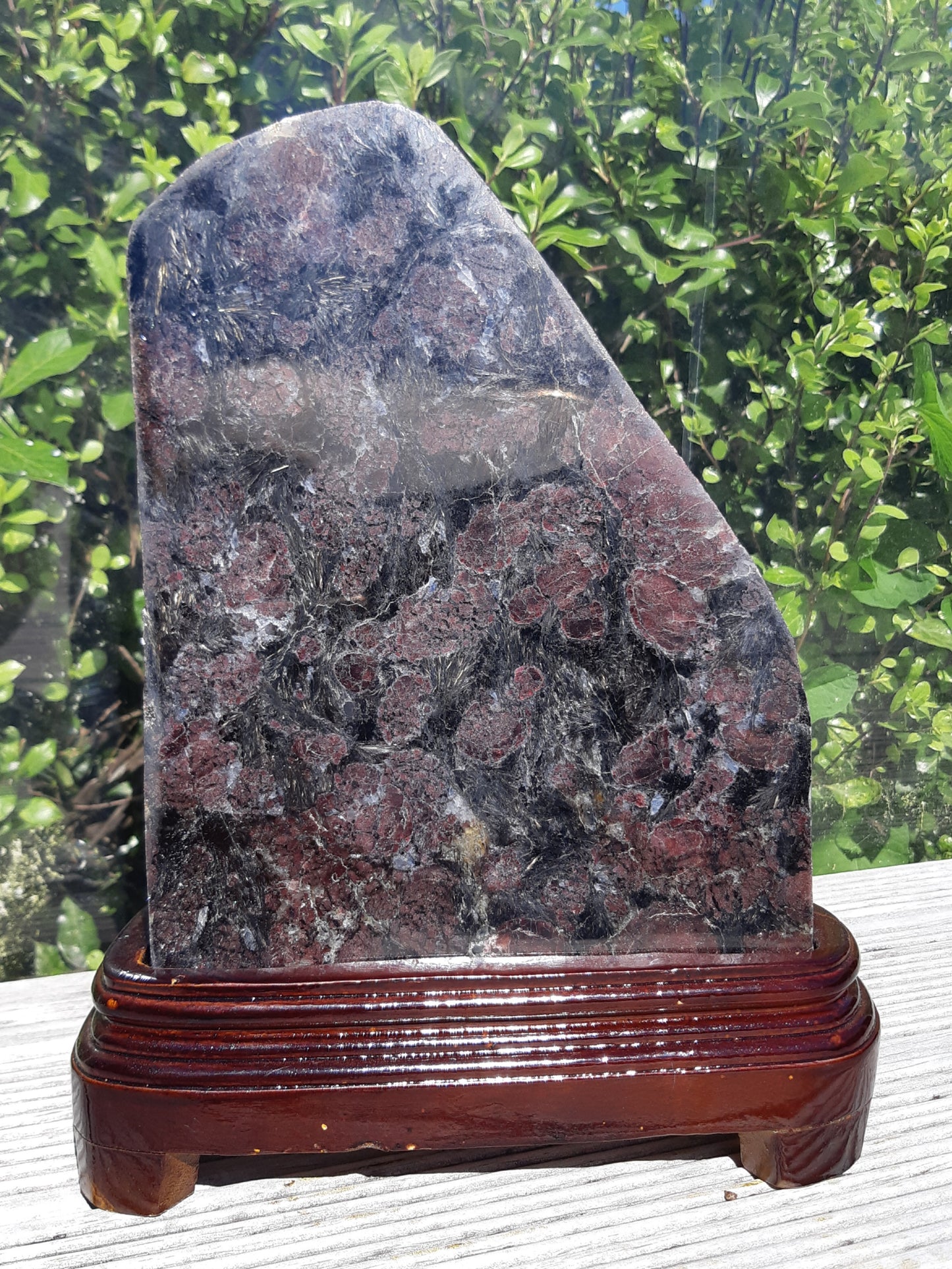 Garnet with Astrophyllite Freeform