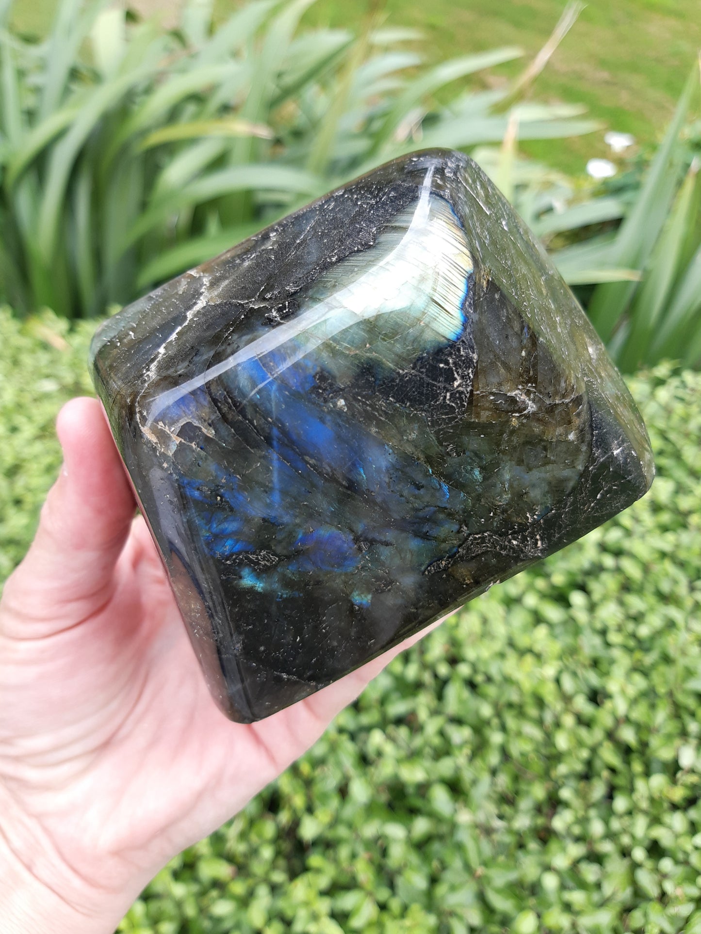 Labradorite Freeform