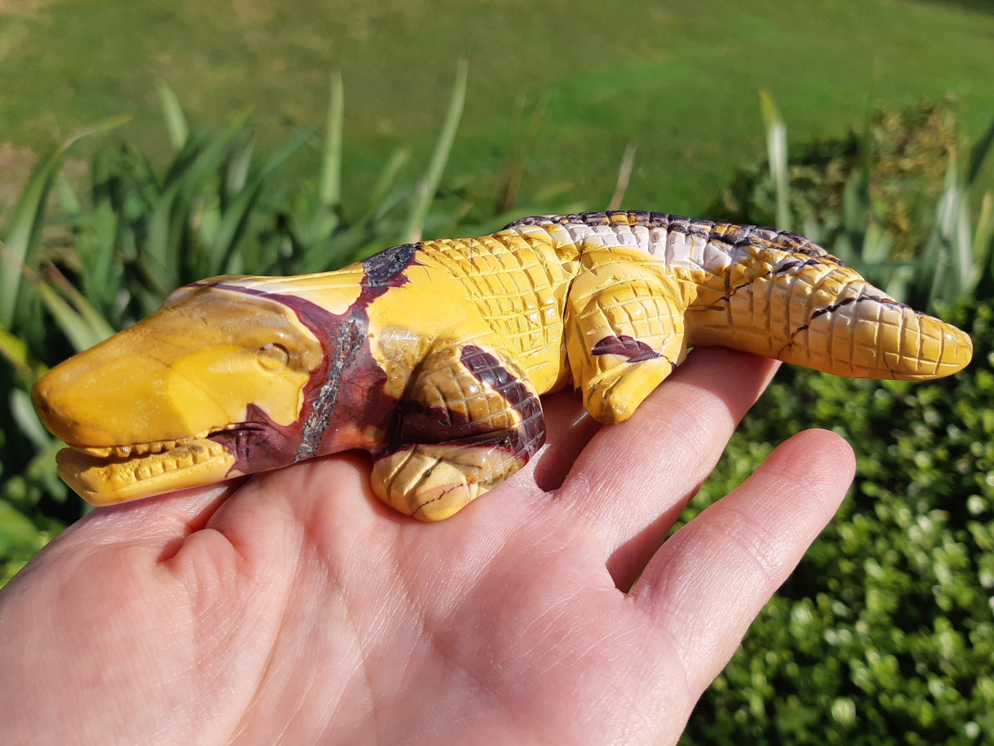 Mookaite Crocodile