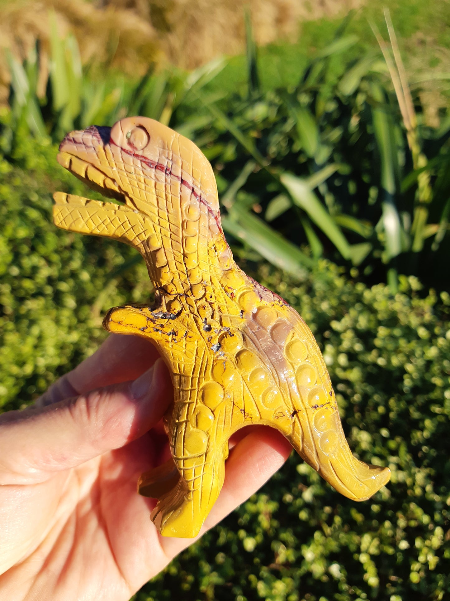 Mookaite T Rex Dinosaur