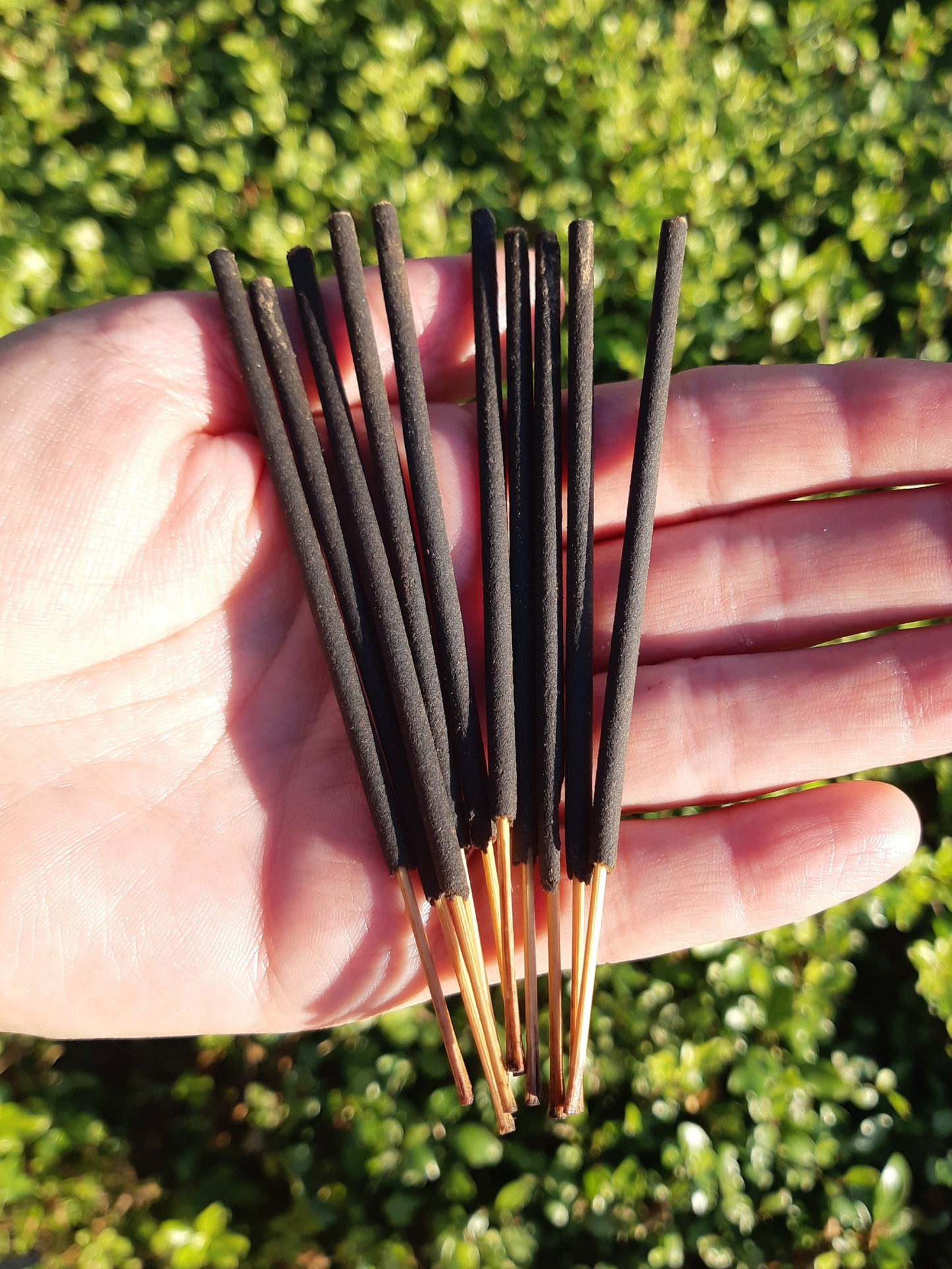 Wild Berry Shorties Incense Sticks - Cinnamon