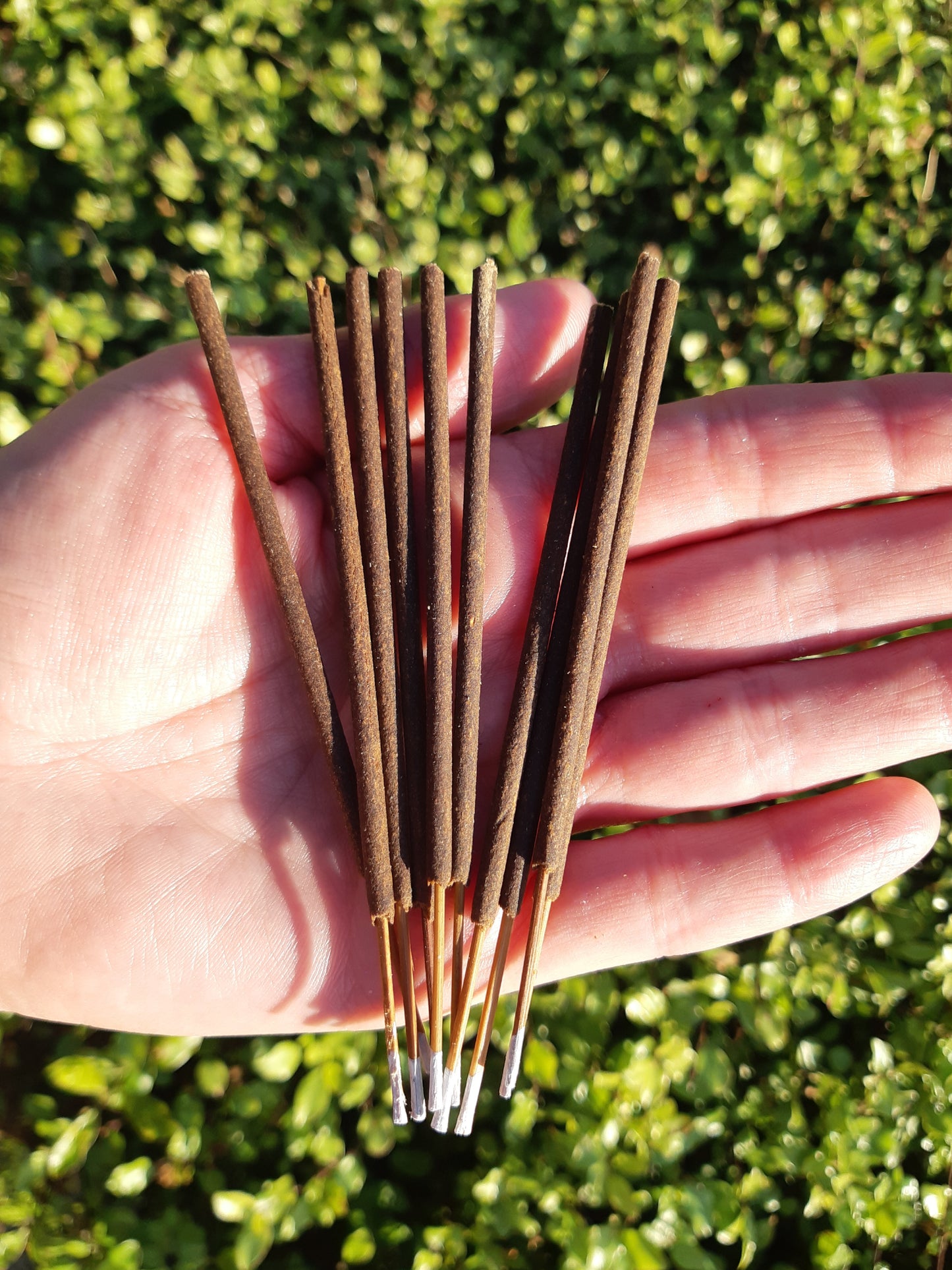 Wild Berry Shorties Incense Sticks - Coconut