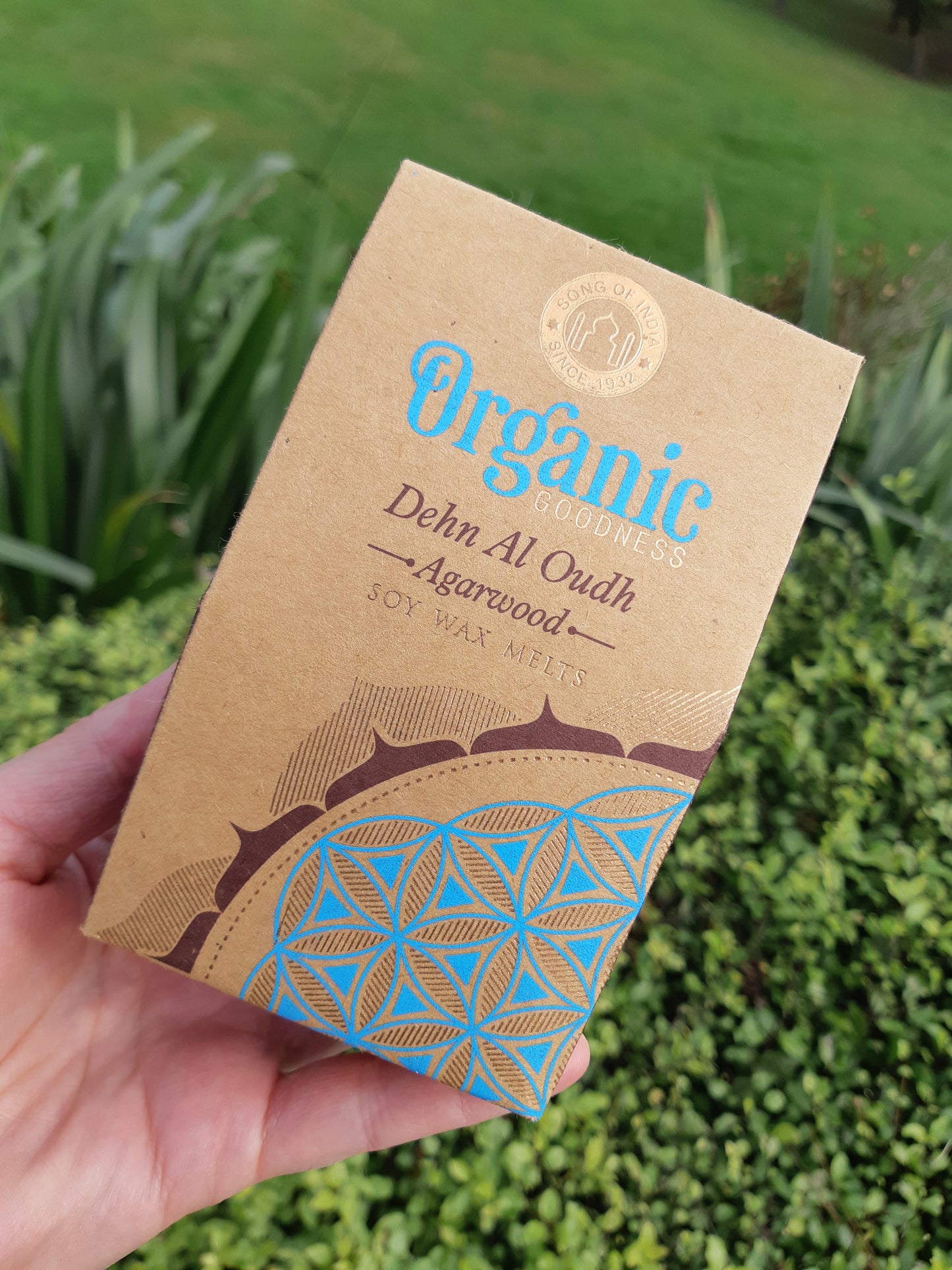 Organic Goodness Soy Wax Melts - Denh Al Oudh