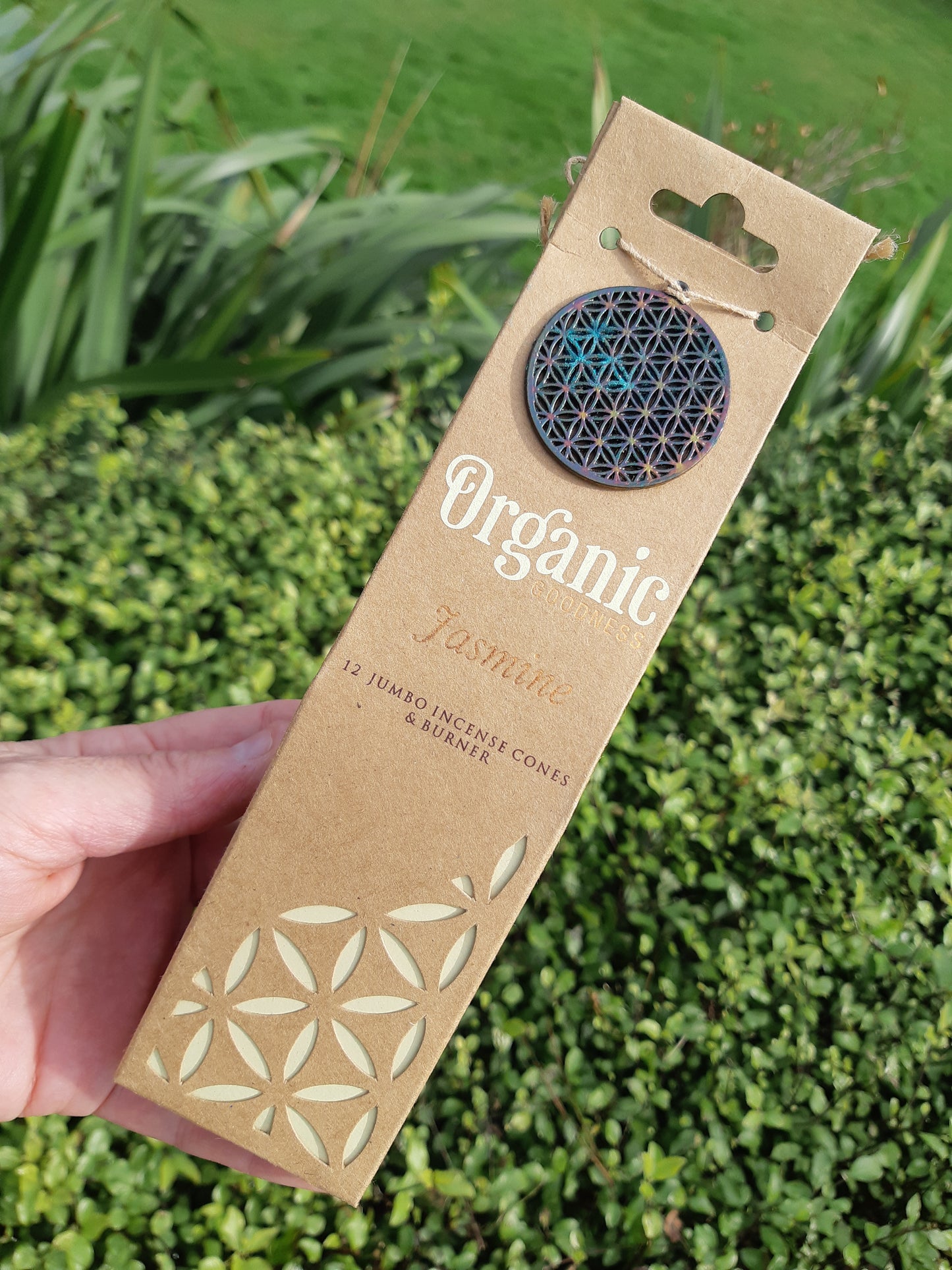 Organic Goodness Incense Cone - Jasmine