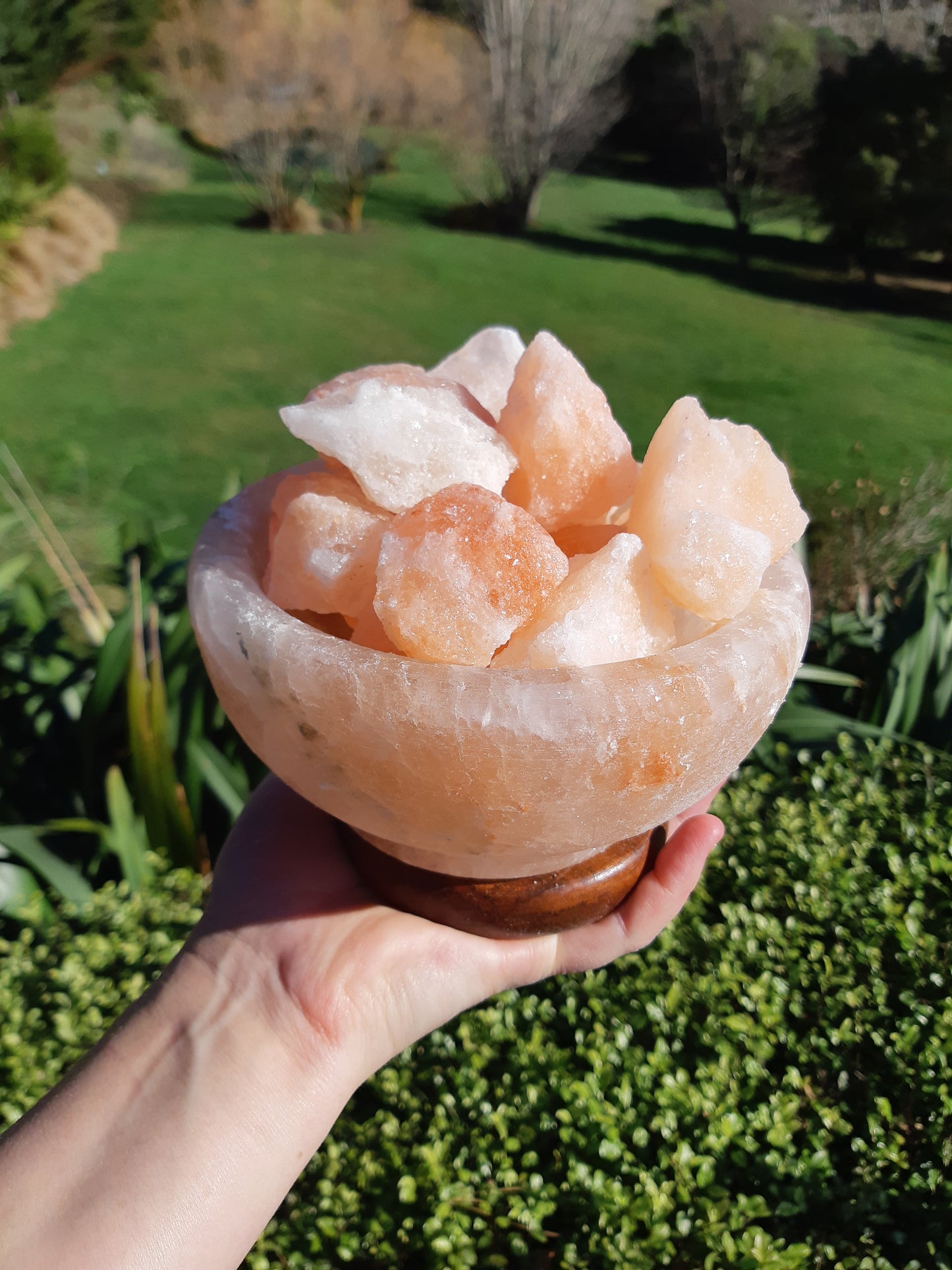 Himalayan Salt Lamp Bowl Of Fire