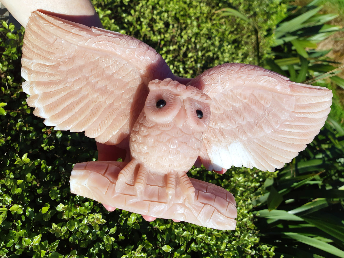 Pink Opal Owl