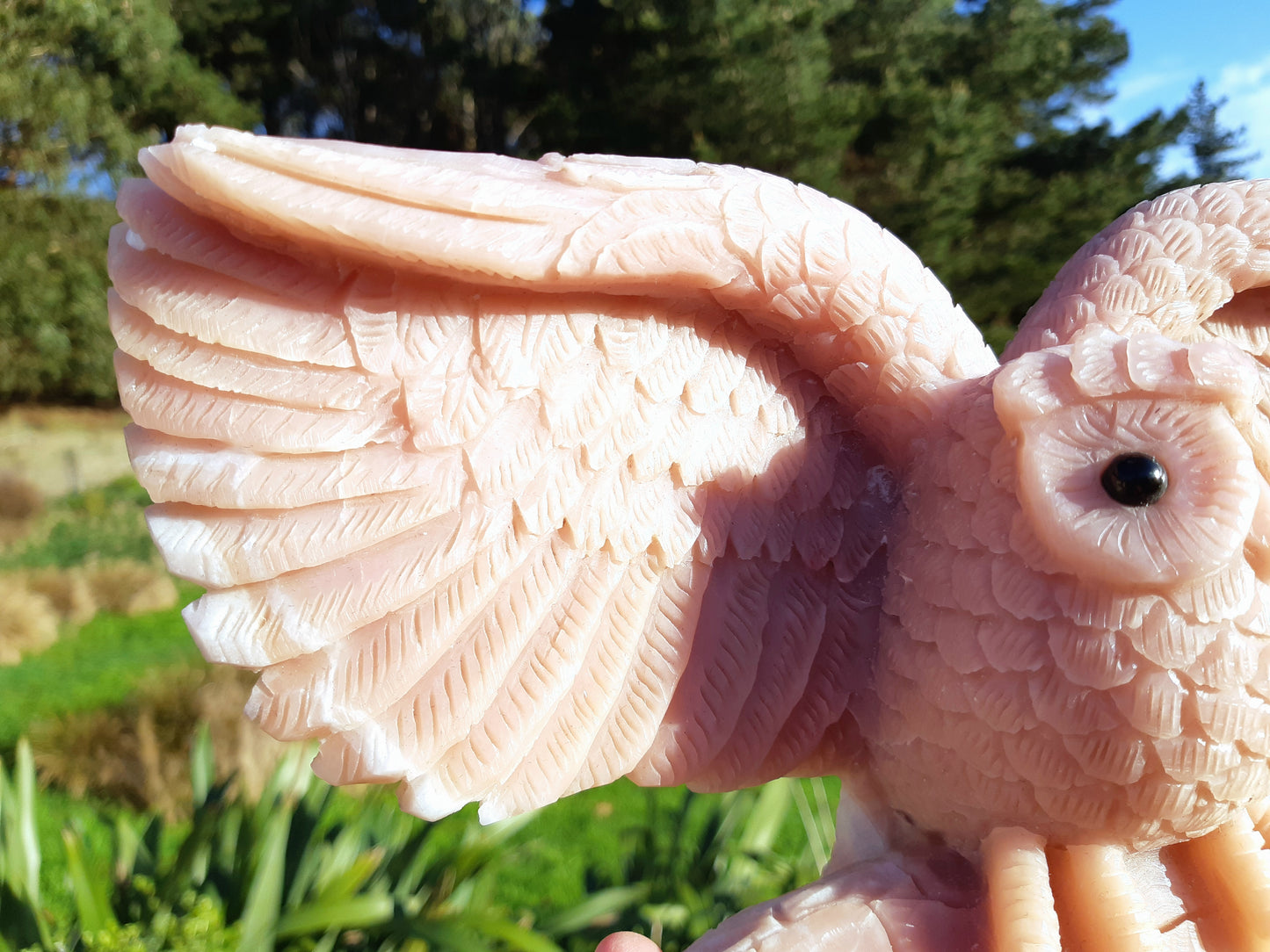 Pink Opal Owl