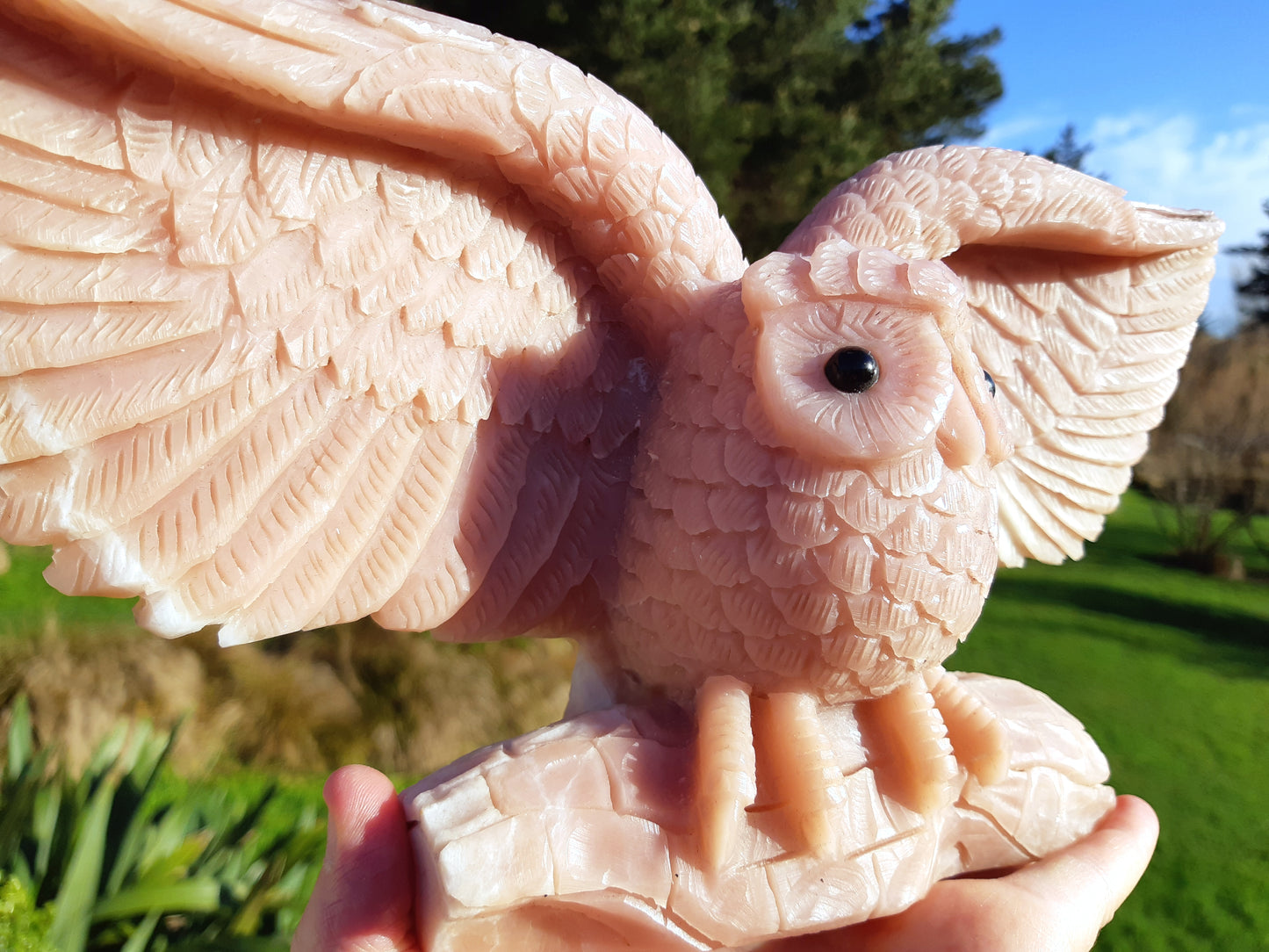 Pink Opal Owl