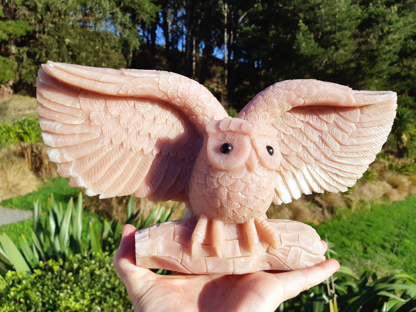 Pink Opal Owl