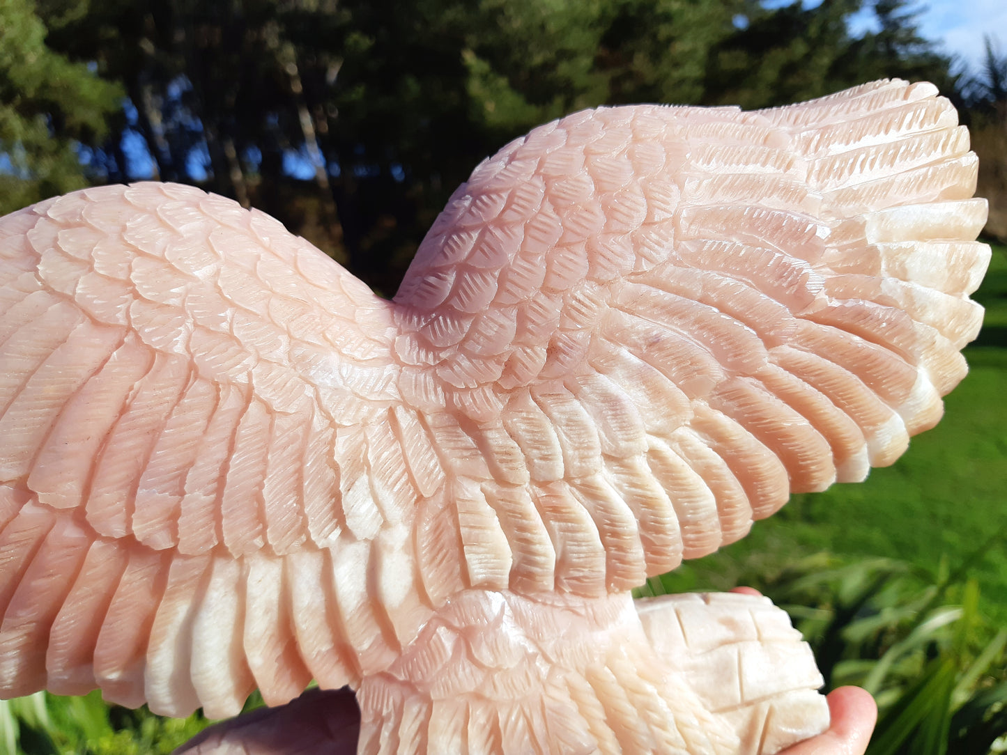 Pink Opal Owl