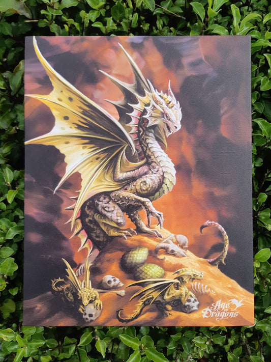 Desert Dragon Canvas by Anne Stokes